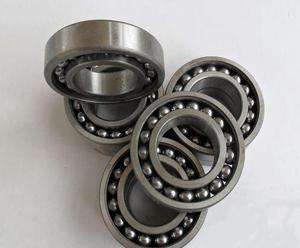 306-2RS Bearing Made in China